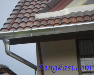 รางน้ำฝน Gutter Root